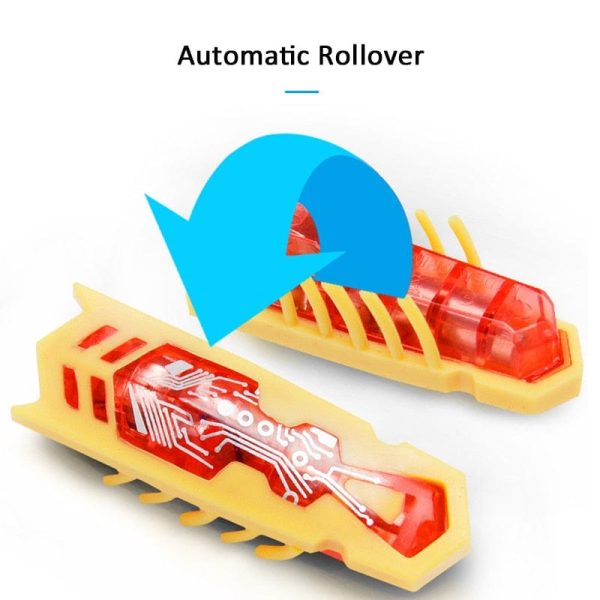 Electric Bug Toy for Cats