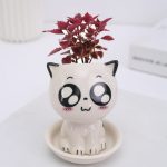 Adorable Ceramic Mini Planter Heads