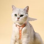 Sweet Angel Wing Cat Strap Harness