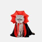 Cat Halloween Dracula Vampire Cape