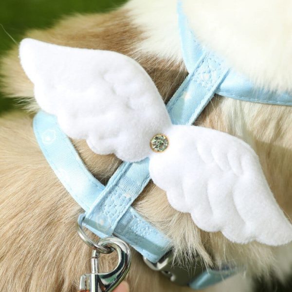 Sweet Angel Wing Cat Strap Harness