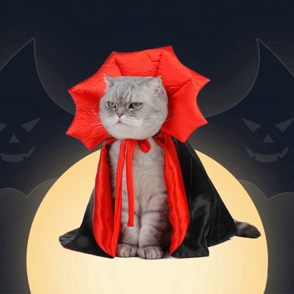 Cat Halloween Dracula Vampire Cape