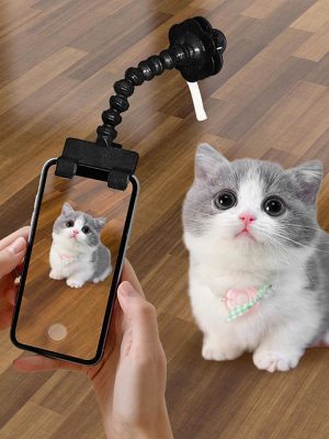 Snapcat Selfie Stick Cat Photography