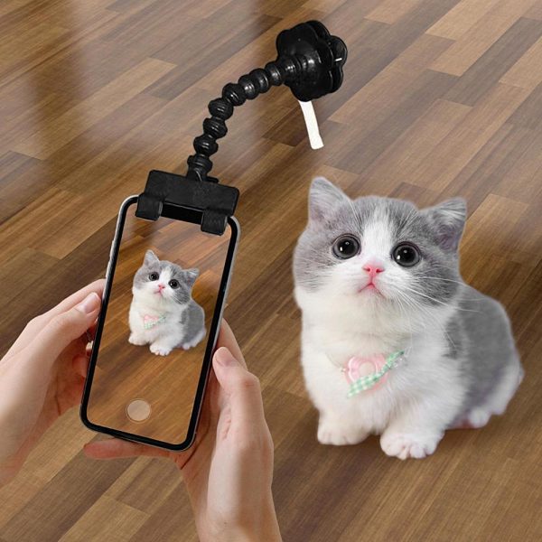 Snapcat Selfie Stick Cat Photography