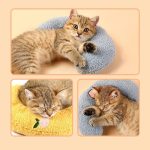 Cat Sleeping Little Neck Pillow