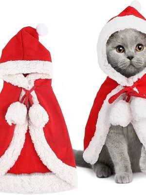 Santa_Claus_Cat_Cape