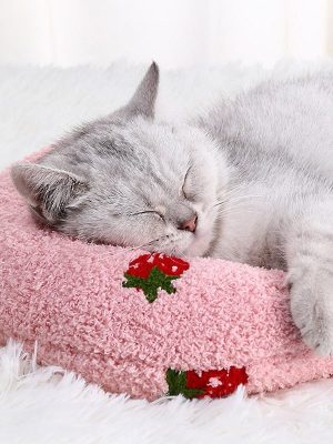 Cat Sleeping Little Neck Pillow