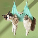 Cat Grooming Set