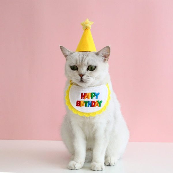 Cat Birthday Party Scarf Hat