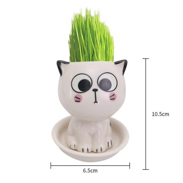 Adorable Ceramic Mini Planter Heads