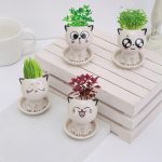 Adorable Ceramic Mini Planter Heads