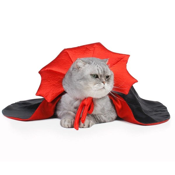 Cat Halloween Dracula Vampire Cape