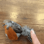 Chirping Bird Toy for Cats