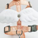 Sweet Angel Wing Cat Strap Harness