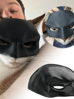 Black Cat Superhero Mask Props
