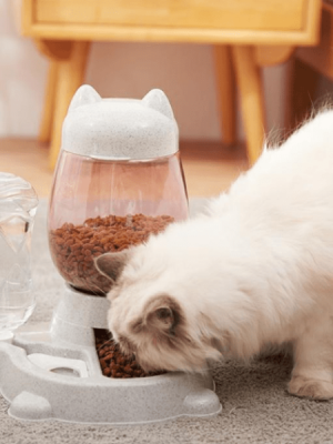 Cat Ear Food & Water Dispenser