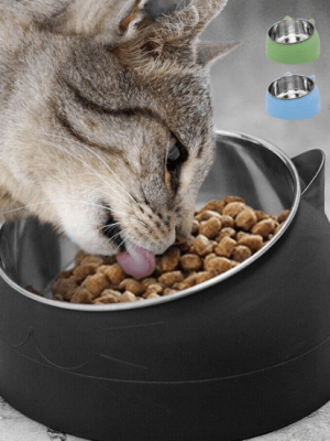 Oblique Mouth Single Cat Bowl