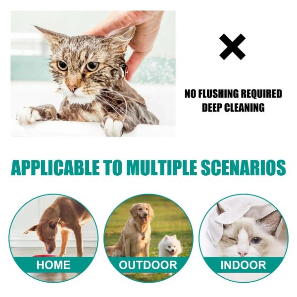 Cat Disposable Wash Free Cleaning Gloves