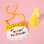 Cat Birthday Party Scarf Hat