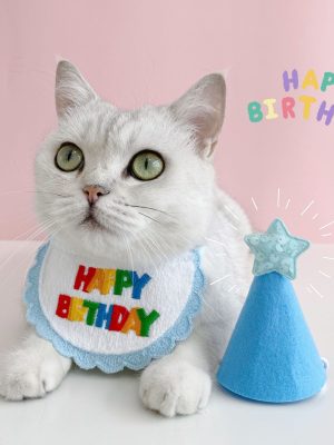 Cat Birthday Party Scarf Hat