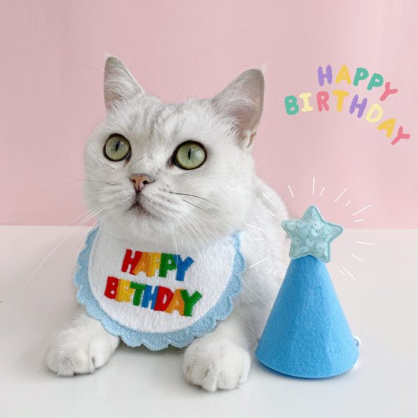 Cat Birthday Party Scarf Hat