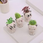 Adorable Ceramic Mini Planter Heads