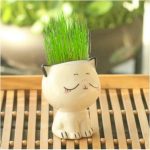 Adorable Ceramic Mini Planter Heads