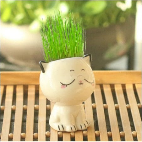Adorable Ceramic Mini Planter Heads