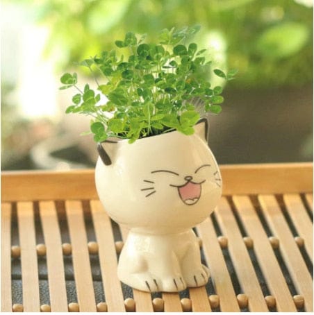 Adorable Ceramic Mini Planter Heads