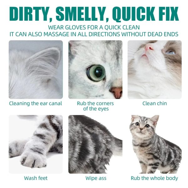 Cat Disposable Wash Free Cleaning Gloves