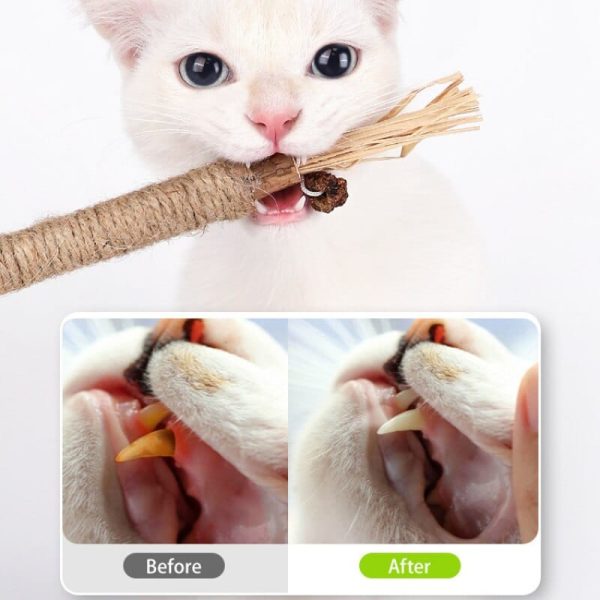 All Natural Cat Teething Toy