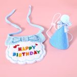 Cat Birthday Party Scarf Hat