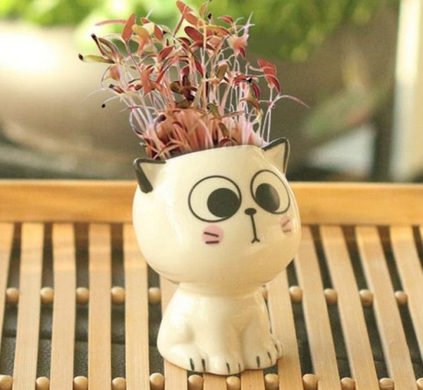 Adorable Ceramic Mini Planter Heads