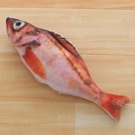 Creative Fish Shaped Catnip Toy