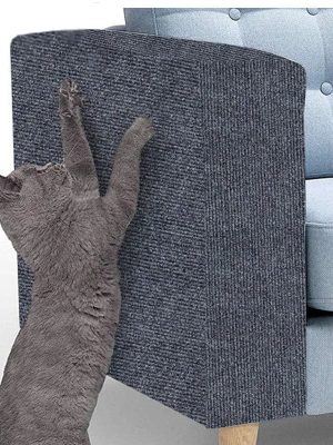 best_cat_furniture_protector_for_sofas