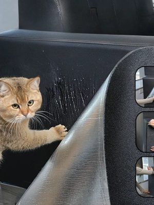 Cat Couch Protector