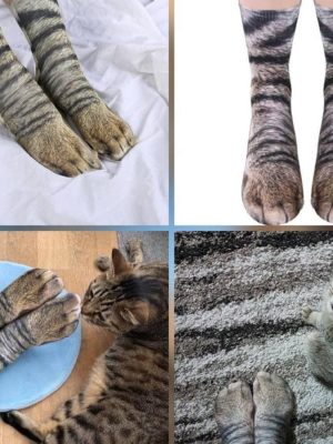 Animal Paw Print Socks