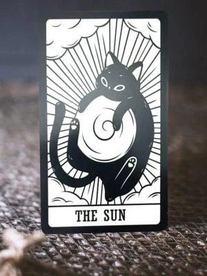 portable_cat_tarot_card_deck_with_expressive_feline_illustrations