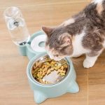 Cat Bowl and Water Feeder Dispenser