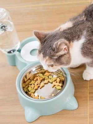 Cat Bowl and Water Feeder Dispenser
