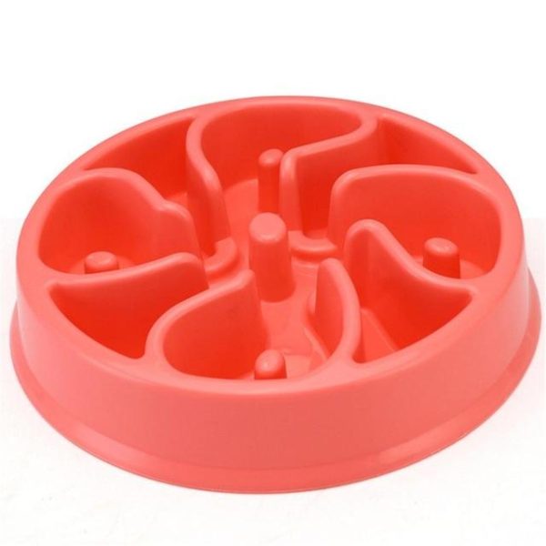 Slow Feeding Training Cat Bowl