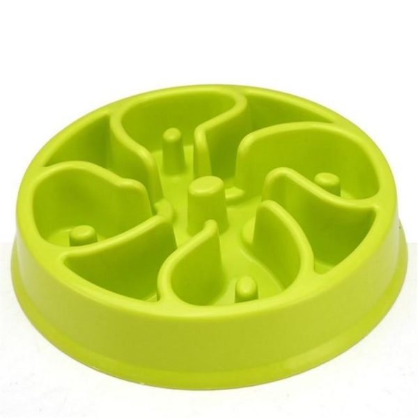 Slow Feeding Training Cat Bowl