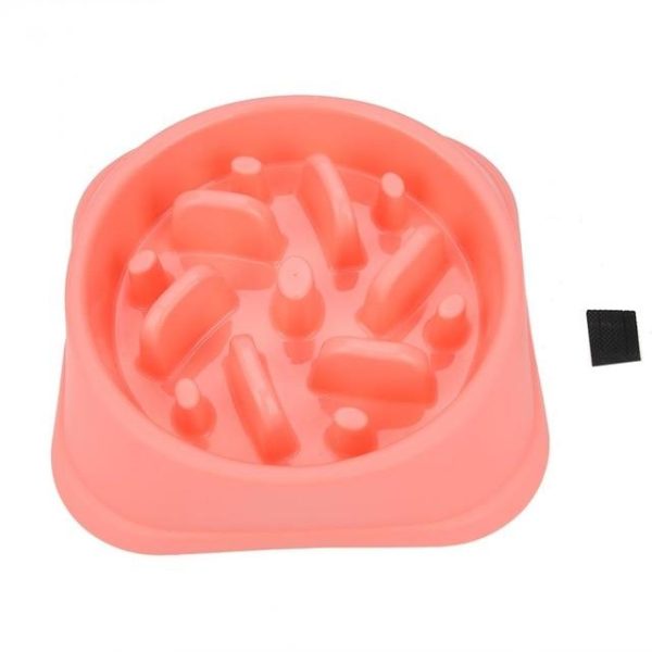 Slow Feeding Training Cat Bowl