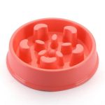 Slow Feeding Training Cat Bowl