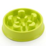 Slow Feeding Training Cat Bowl