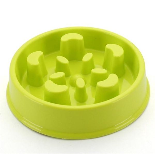 Slow Feeding Training Cat Bowl