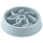 Slow Feeding Training Cat Bowl