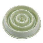 Slow Feeding Training Cat Bowl