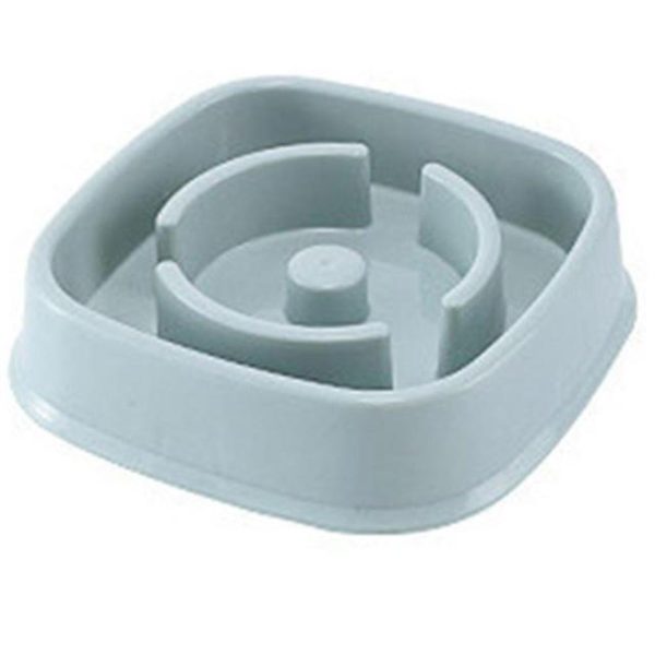 Slow Feeding Training Cat Bowl