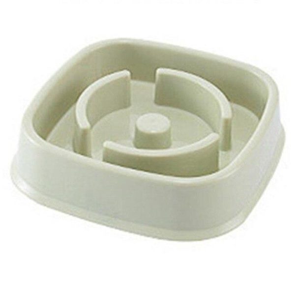 Slow Feeding Training Cat Bowl